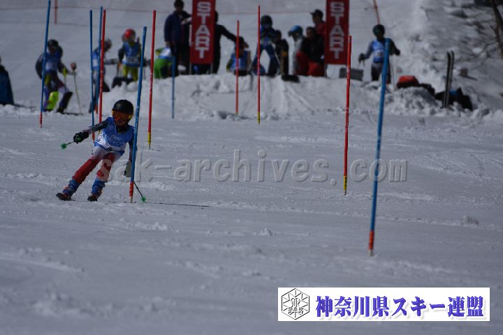 190309_123242_0.jpg