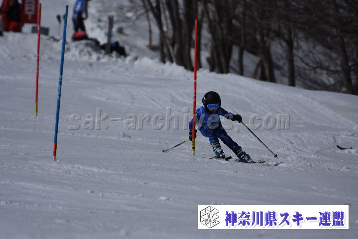 190309_123310_2.jpg