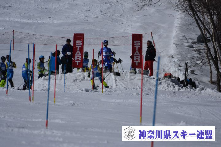 190309_124121_0.jpg