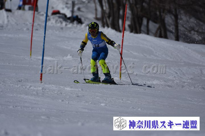 190309_124134_1.jpg
