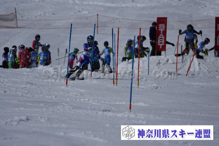 190309_124153_4.jpg