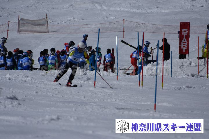 190309_124351_4.jpg