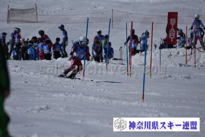 190309_124758_1.jpg