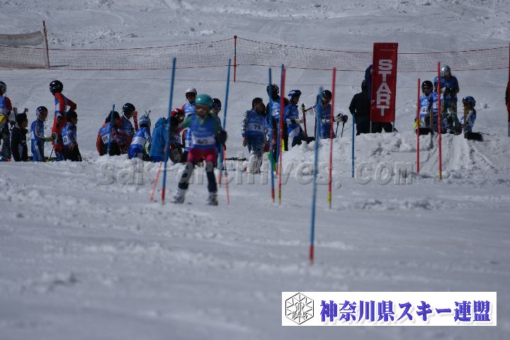 190309_124847_4.jpg