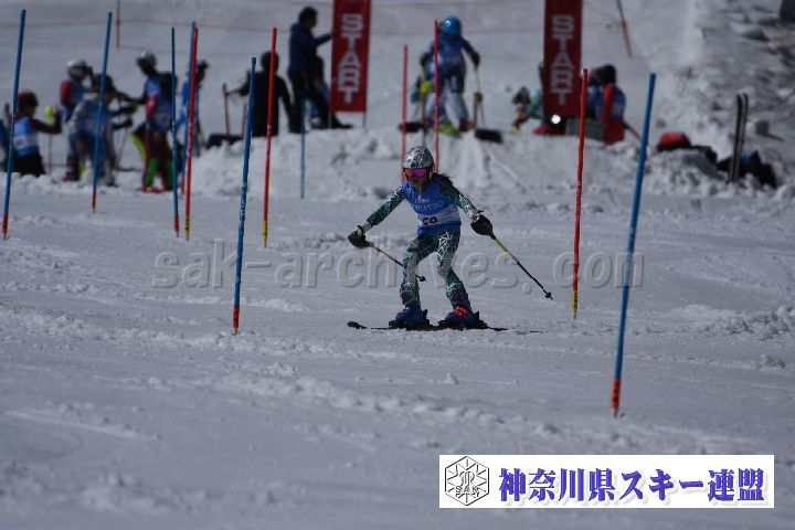 190309_124920_1.jpg