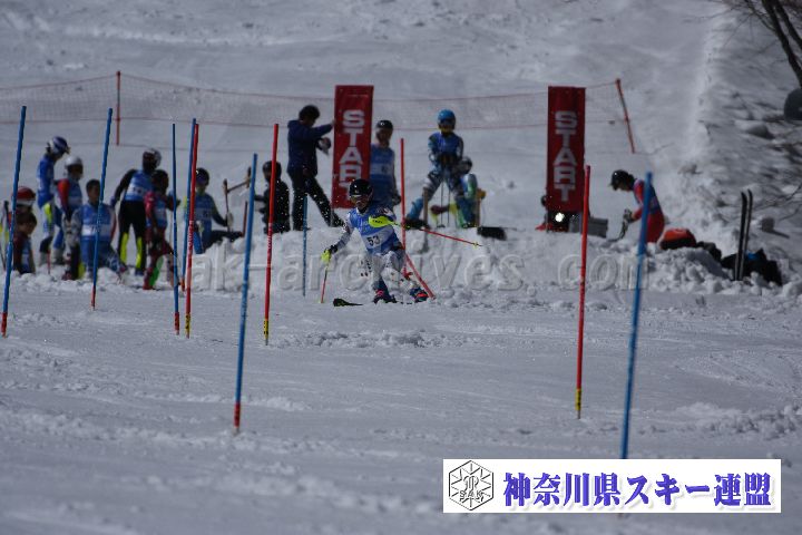 190309_125004_1.jpg