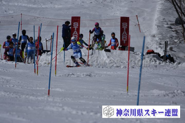 190309_125127_0.jpg