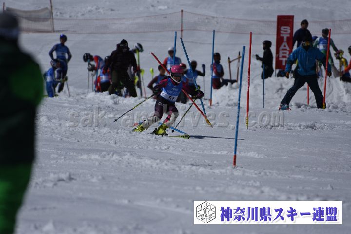 190309_125157_0.jpg