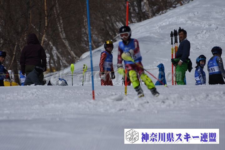 190309_102835_4.jpg