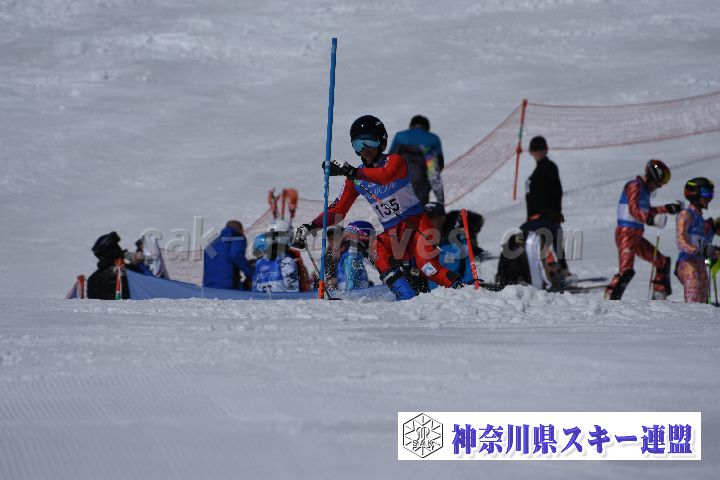 190309_103225_3.jpg