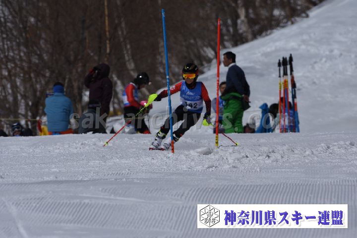 190309_103502_0.jpg