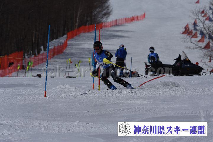 190309_103704_0.jpg