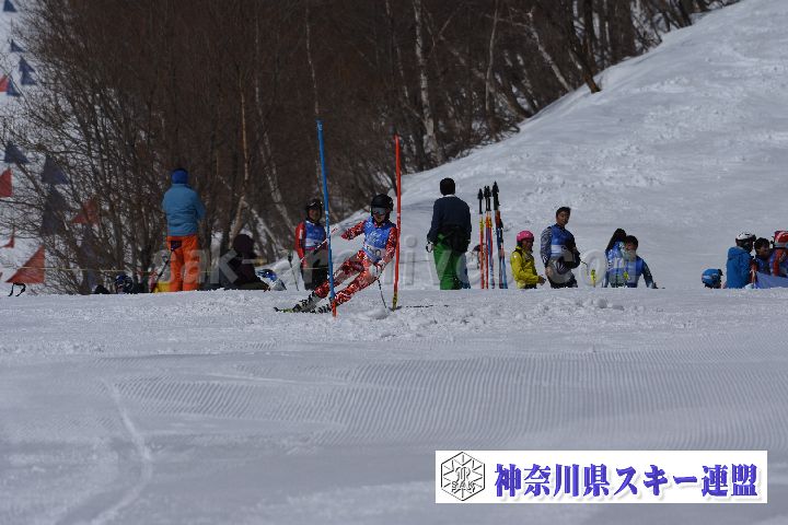190309_103754_0.jpg