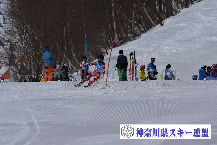 190309_103754_1.jpg