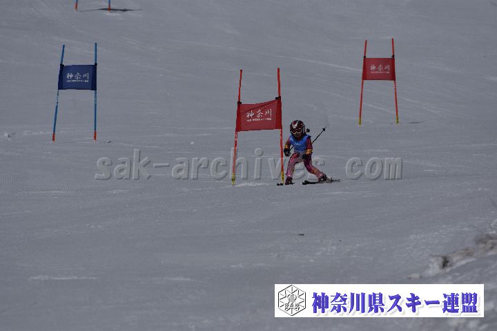 190310_093847_0.jpg
