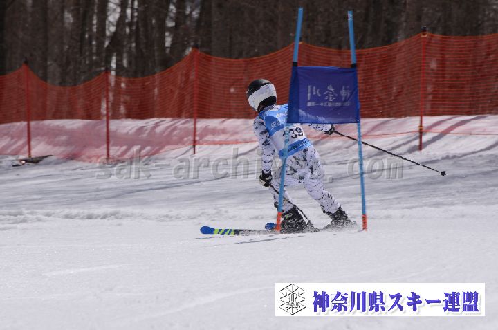 190310_104316_0.jpg