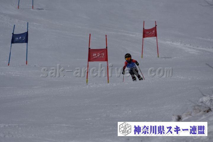 190310_105200_4.jpg