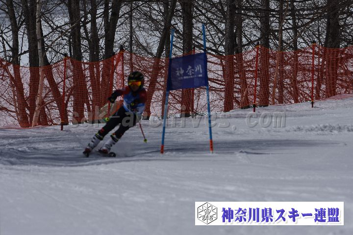 190310_105208_0.jpg