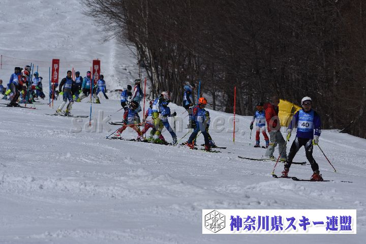 190309_113238_0.jpg