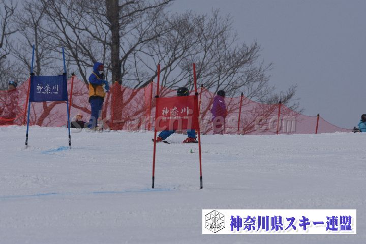 190316_094414_0.jpg