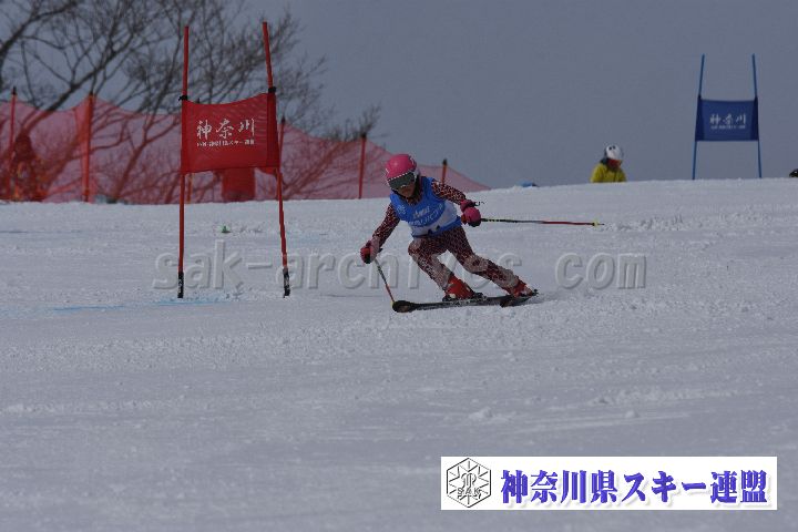 190316_095516_1.jpg