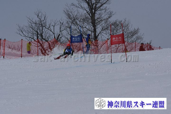 190316_100245_0.jpg