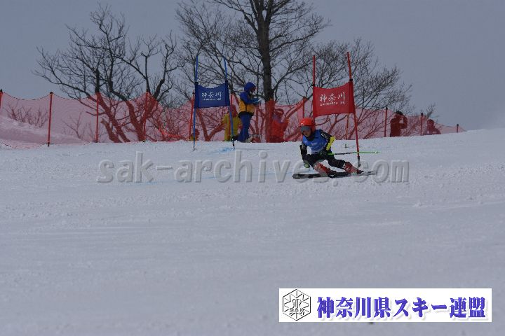 190316_100247_0.jpg