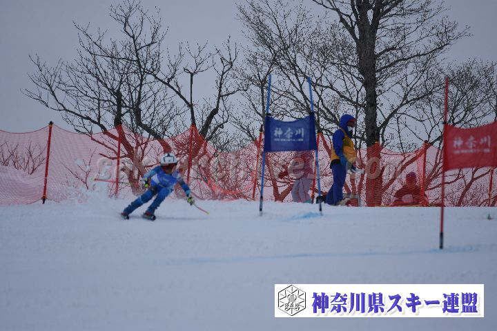 190316_100448_0.jpg