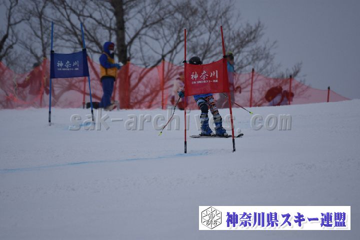 190316_101419_0.jpg