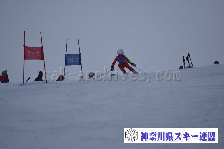 190316_104853_2.jpg