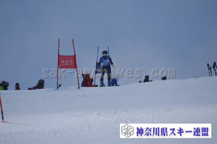 190316_113607_0.jpg