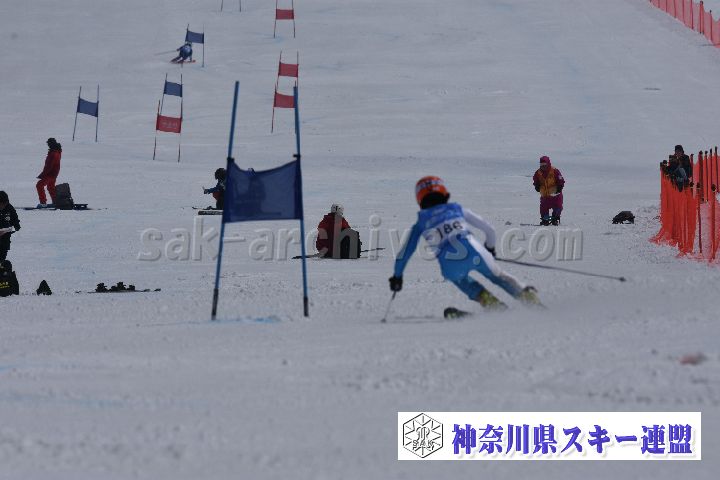 190316_113755_2.jpg