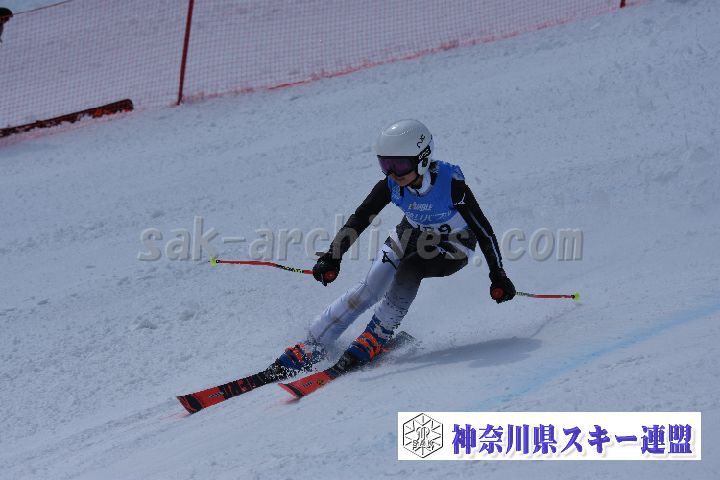 190316_113919_4.jpg