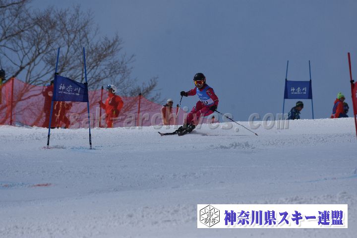190316_113940_1.jpg
