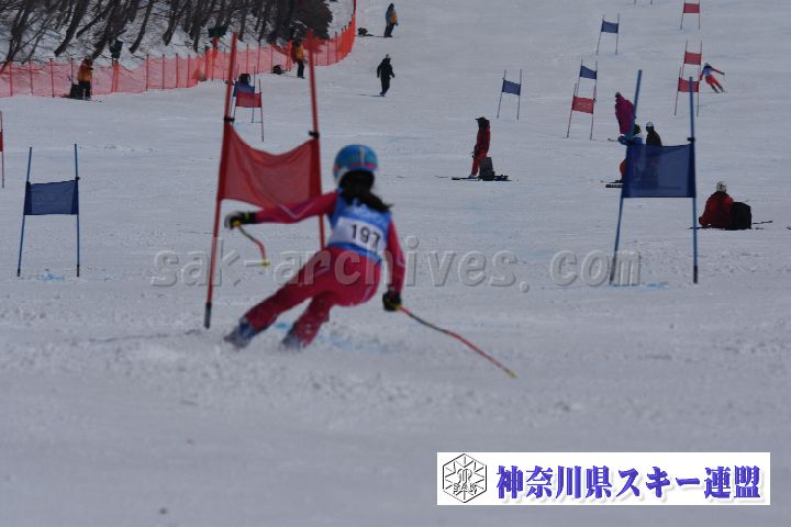 190316_114257_0.jpg
