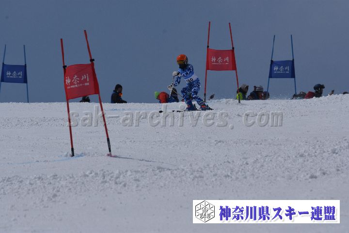 190316_114340_0.jpg