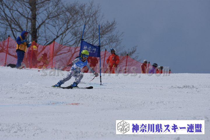190316_114413_2.jpg