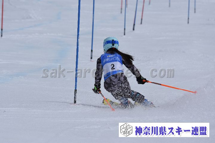 190317_124249_5.jpg