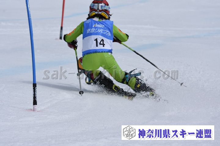 190317_124315_0.jpg