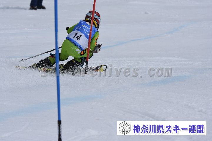 190317_124316_0.jpg