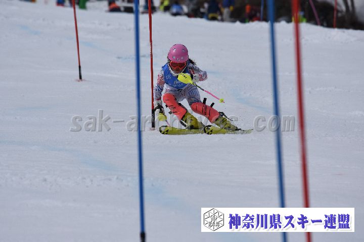190317_124339_1.jpg
