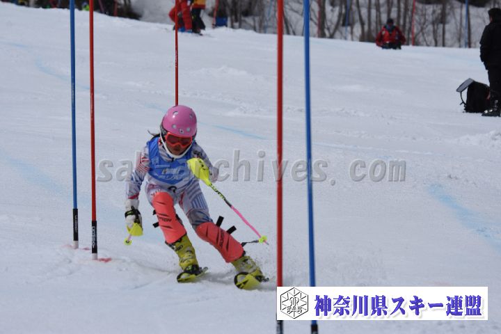 190317_124343_0.jpg
