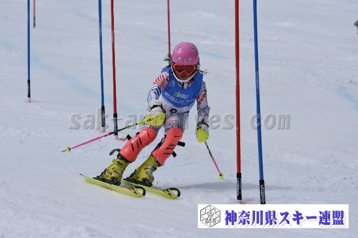 190317_124344_0.jpg