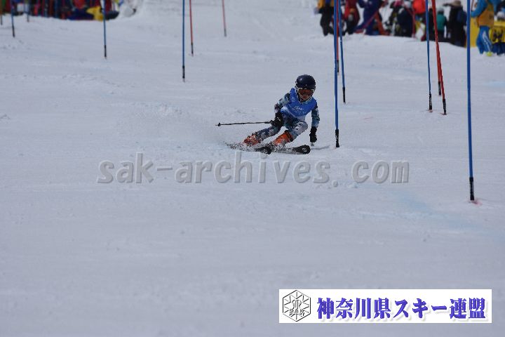 190317_124403_0.jpg