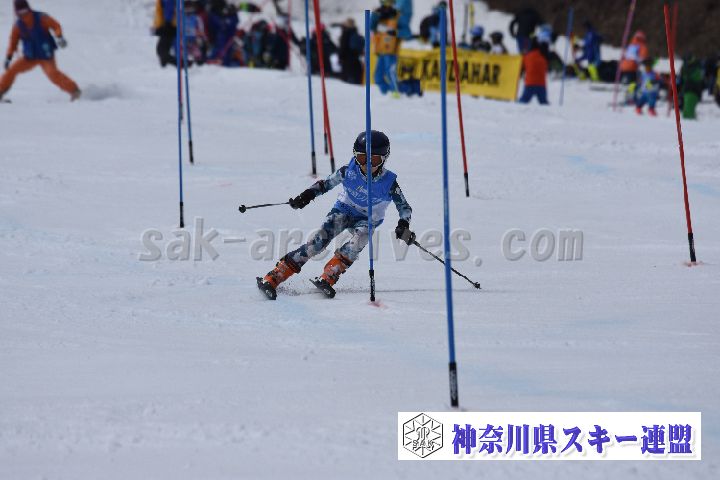 190317_124405_0.jpg