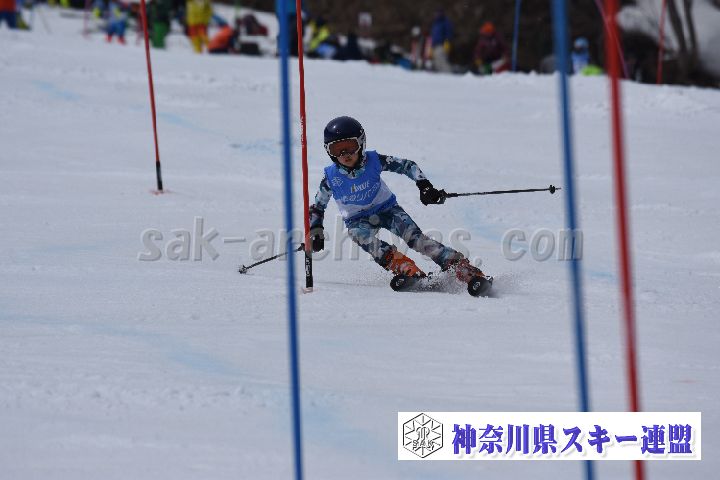 190317_124406_0.jpg