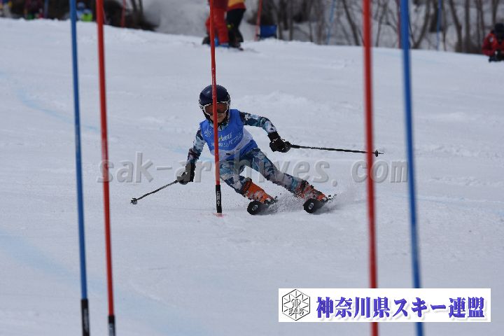 190317_124408_0.jpg