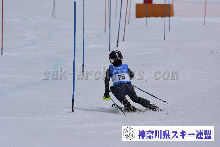 190317_124446_4.jpg