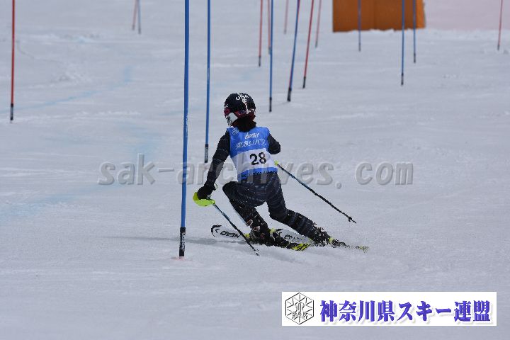 190317_124447_0.jpg