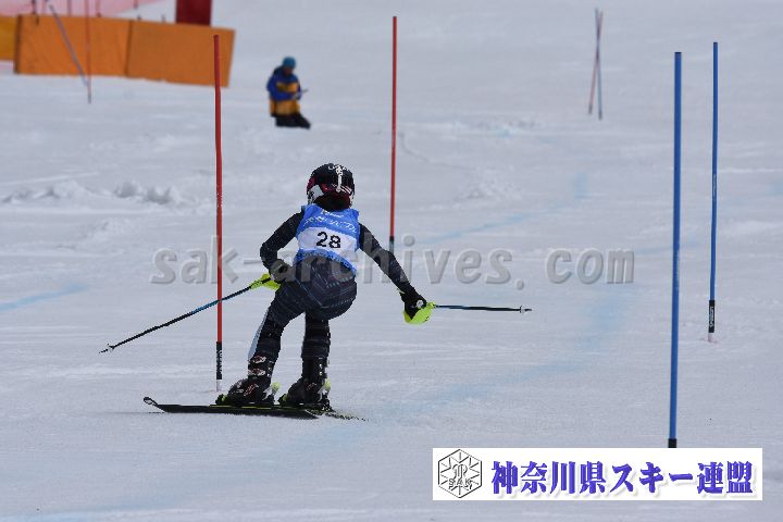 190317_124447_1.jpg